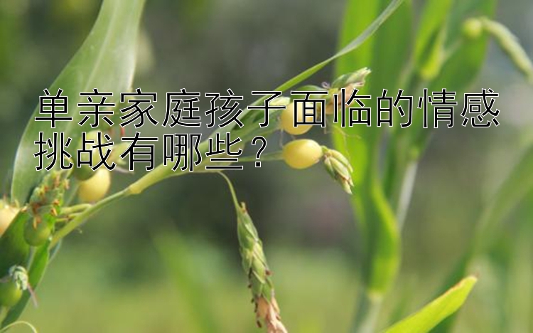 单亲家庭孩子面临的情感挑战有哪些？