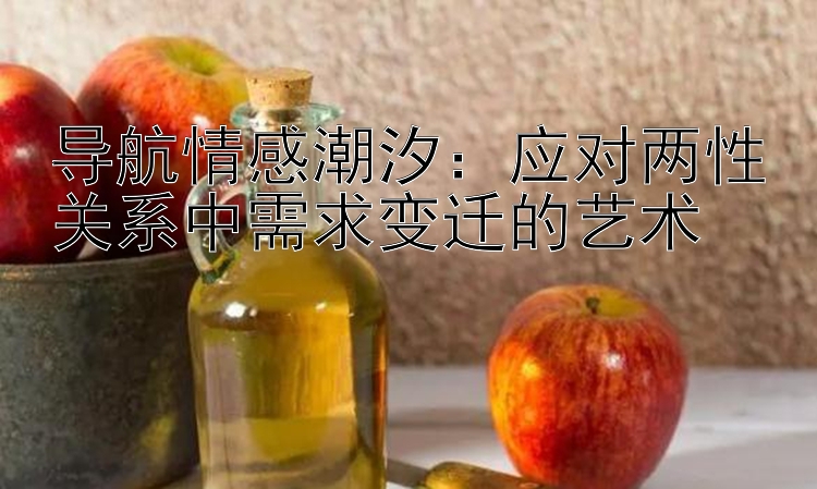 导航情感潮汐：应对两性关系中需求变迁的艺术