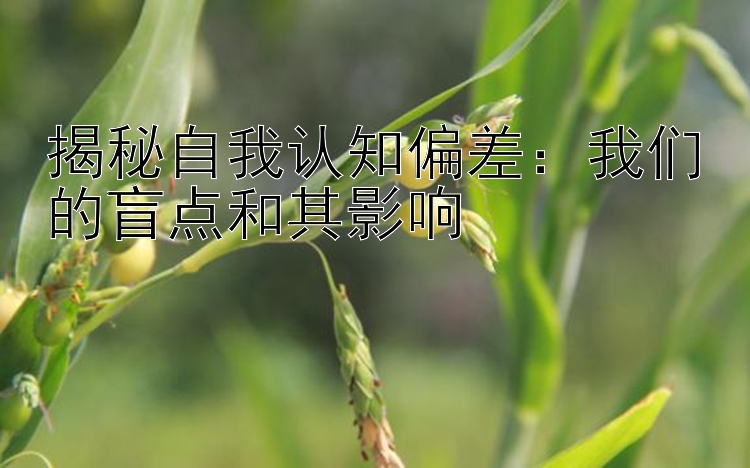 揭秘自我认知偏差：我们的盲点和其影响