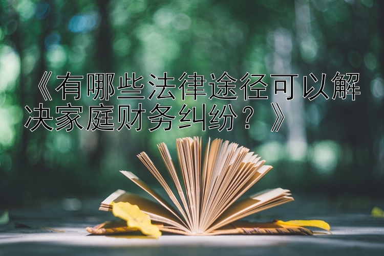 《有哪些法律途径可以解决家庭财务纠纷？》