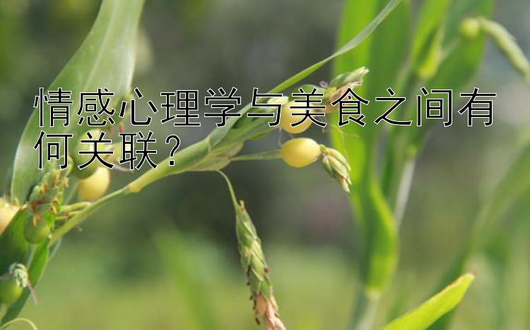 情感心理学与美食之间有何关联？