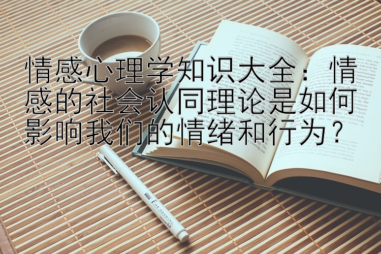 情感心理学知识大全：情感的社会认同理论是如何影响我们的情绪和行为？