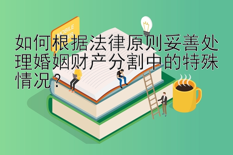 如何根据法律原则妥善处理婚姻财产分割中的特殊情况？