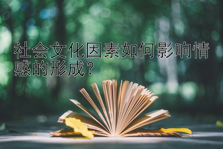 社会文化因素如何影响情感的形成？