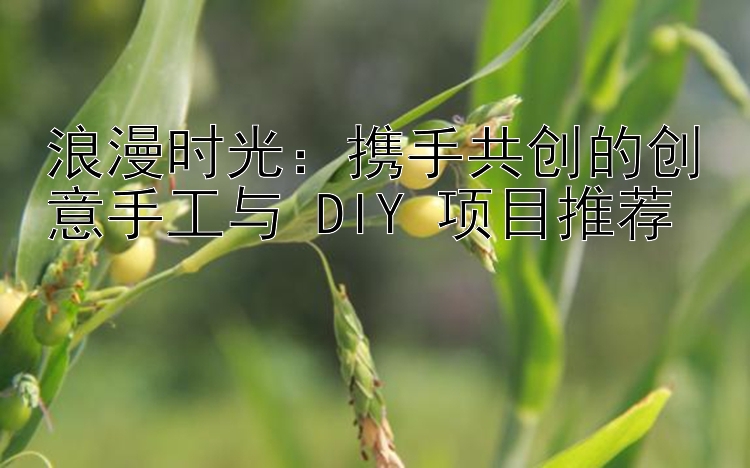 浪漫时光：携手共创的创意手工与 DIY 项目推荐