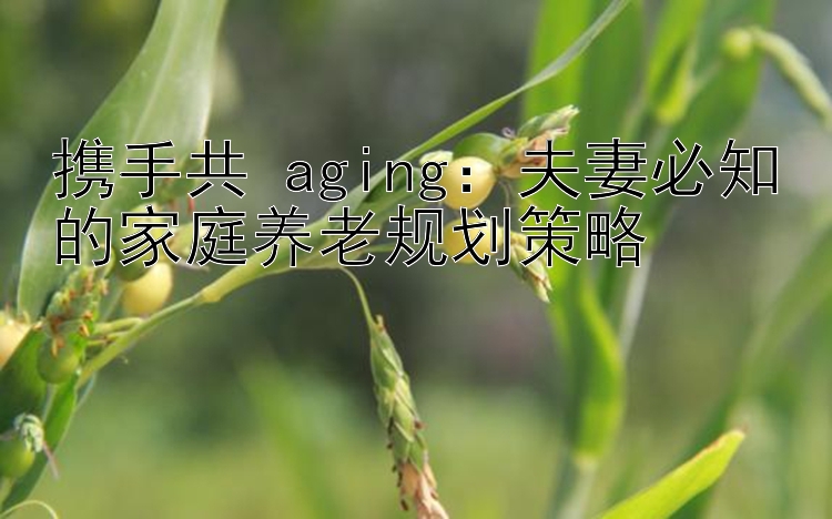 携手共 aging：夫妻必知的家庭养老规划策略