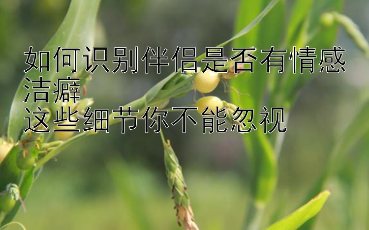 如何识别伴侣是否有情感洁癖  
这些细节你不能忽视